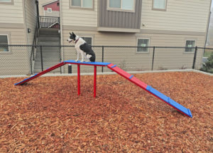 Dog Playground Equipment for sale by Pacific Outdoor Products.